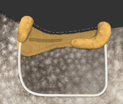 alm-spine-free