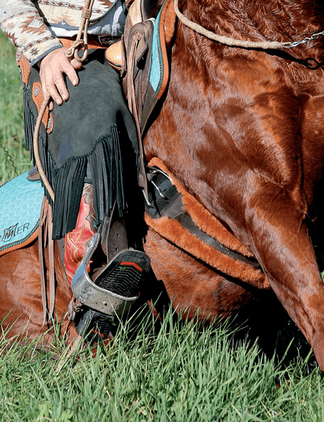 mattes-western-gjord