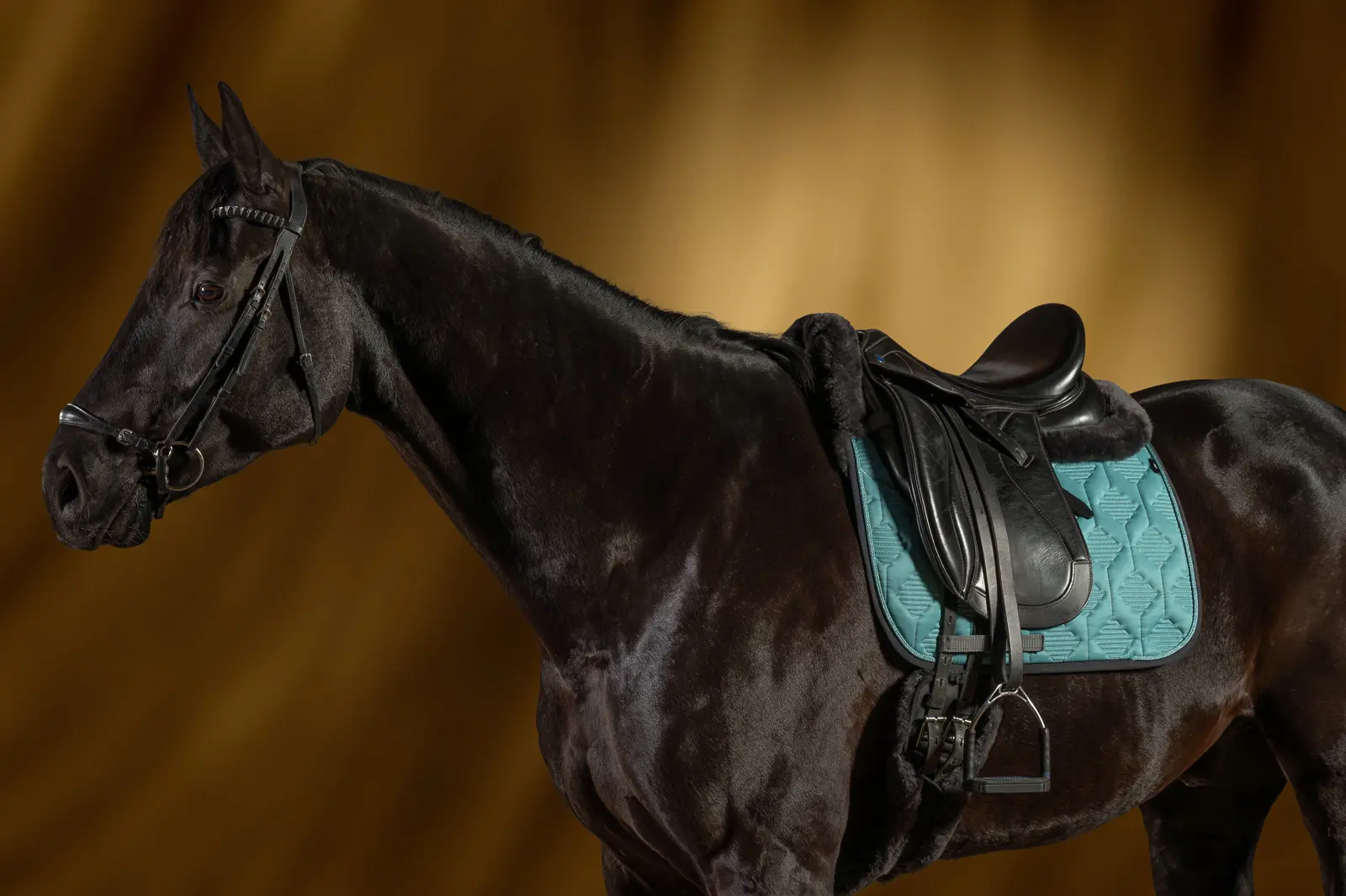 Mattes Engelsk dressur underlag Crystal Velvet Ocean str L med lam under, front og bag - Billede 2