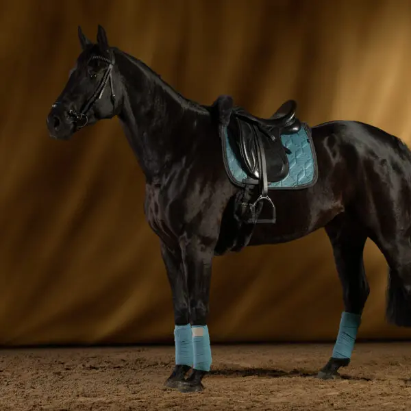 1600px 20250201 MATTES Fruhjahr 25 Pferdestudio 0058