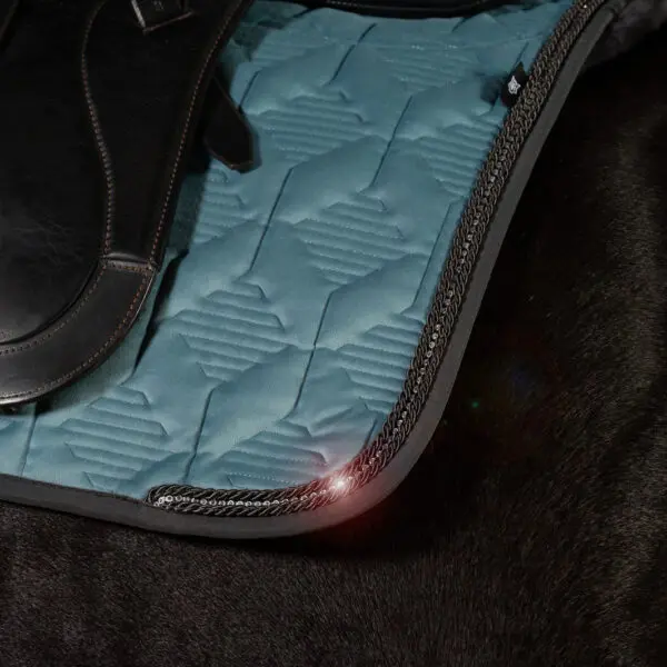 1600px 20250201 MATTES Fruhjahr 25 Pferdestudio 0061