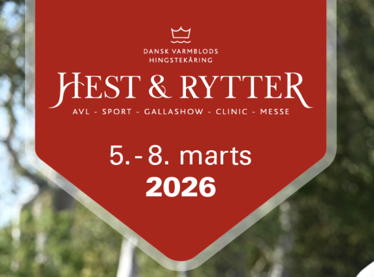 Skaermbillede 2026 02 25 kl. 21.11.00