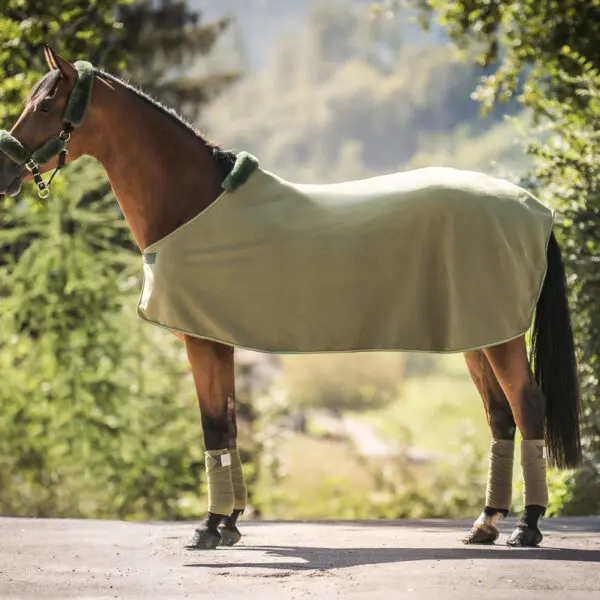 Hest iført grønt tæppe