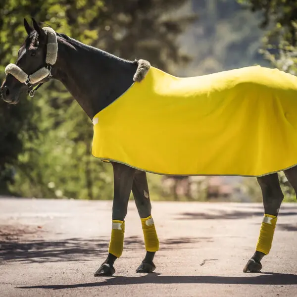 1200px 20250807 MATTES Herbstkollektion Stimmung 0049