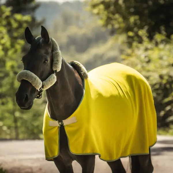 Mattes kollektion 2025