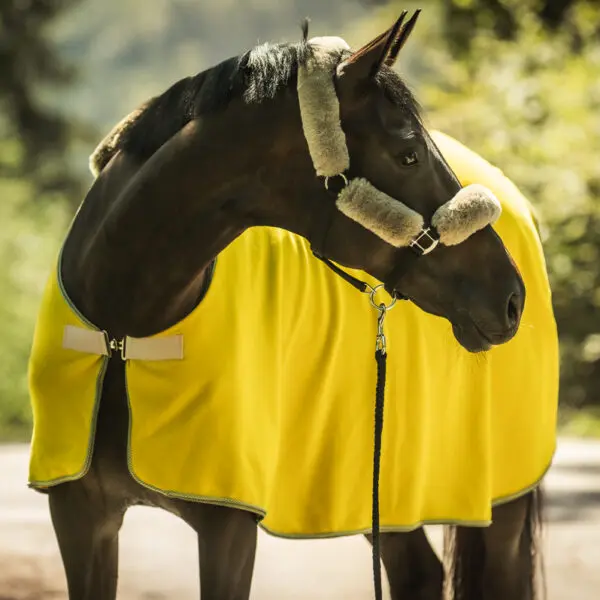 1200px 20250807 MATTES Herbstkollektion Stimmung 0052