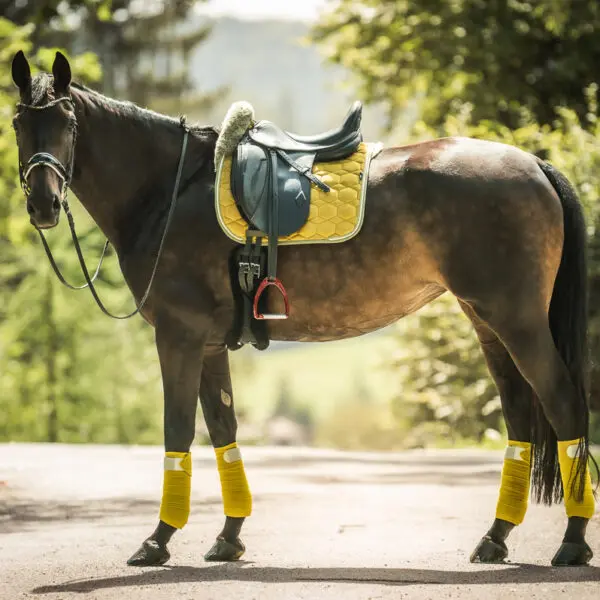 1200px 20250807 MATTES Herbstkollektion Stimmung 0054
