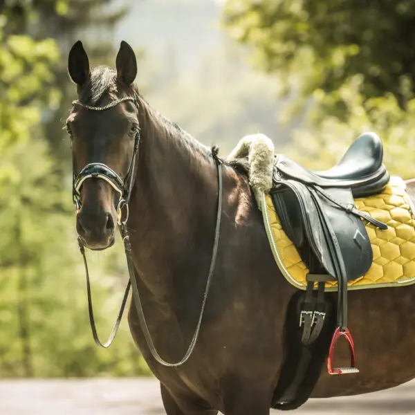 Mattes kollektion 2025