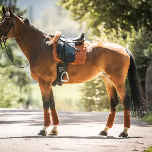 Dansk Rideudstyr Mattes