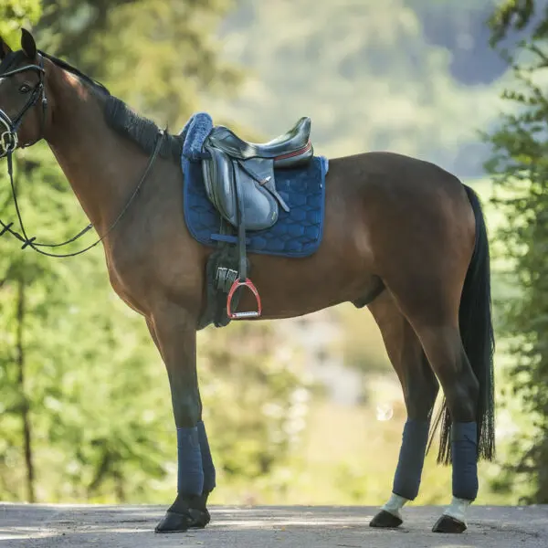 Mattes kollektion, hest med underlag