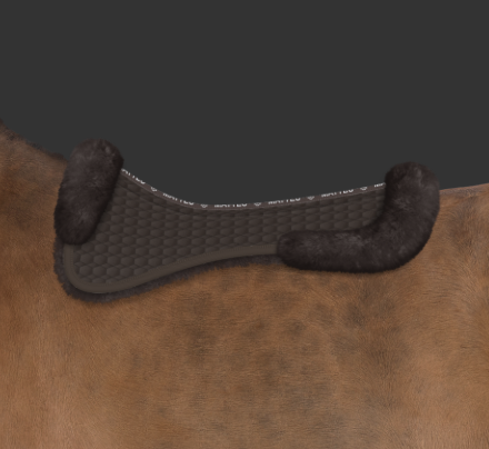 dressur pad brun all