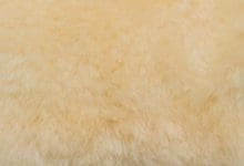 Billede af Dressur gamacher XL (Bagben) 28 Natural Brun