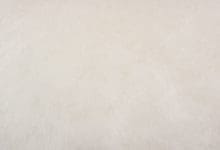 Billede af Dressur gamacher L (Forben) 30 White Hvid