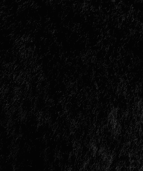 Billede af Lammetunnel til nakkestykke eller tøjler i forskellige længder sort Sort 28cm