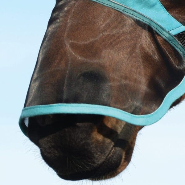 Fine mesh Extended nose 2 scaled