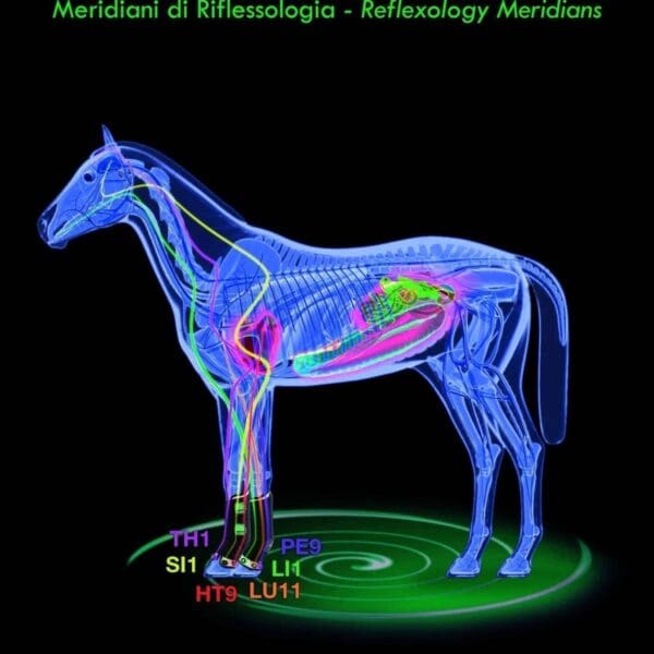 therapeutic support boot air front stimulated meridians scaled 1 scaled