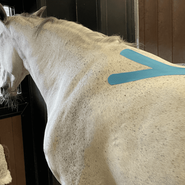 Kinesiotape - Billede 4