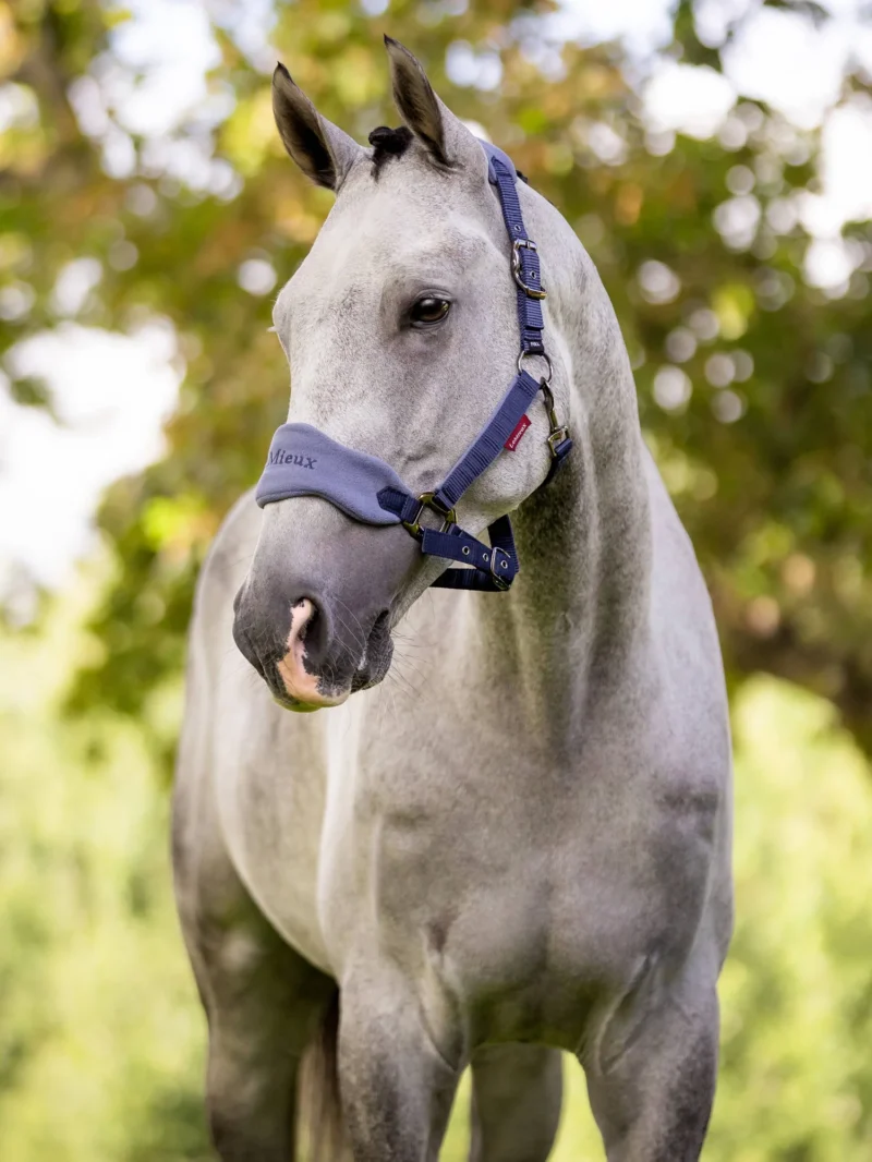 LeMieux Vogue Headcollar & Leadrope Indigo - Billede 3