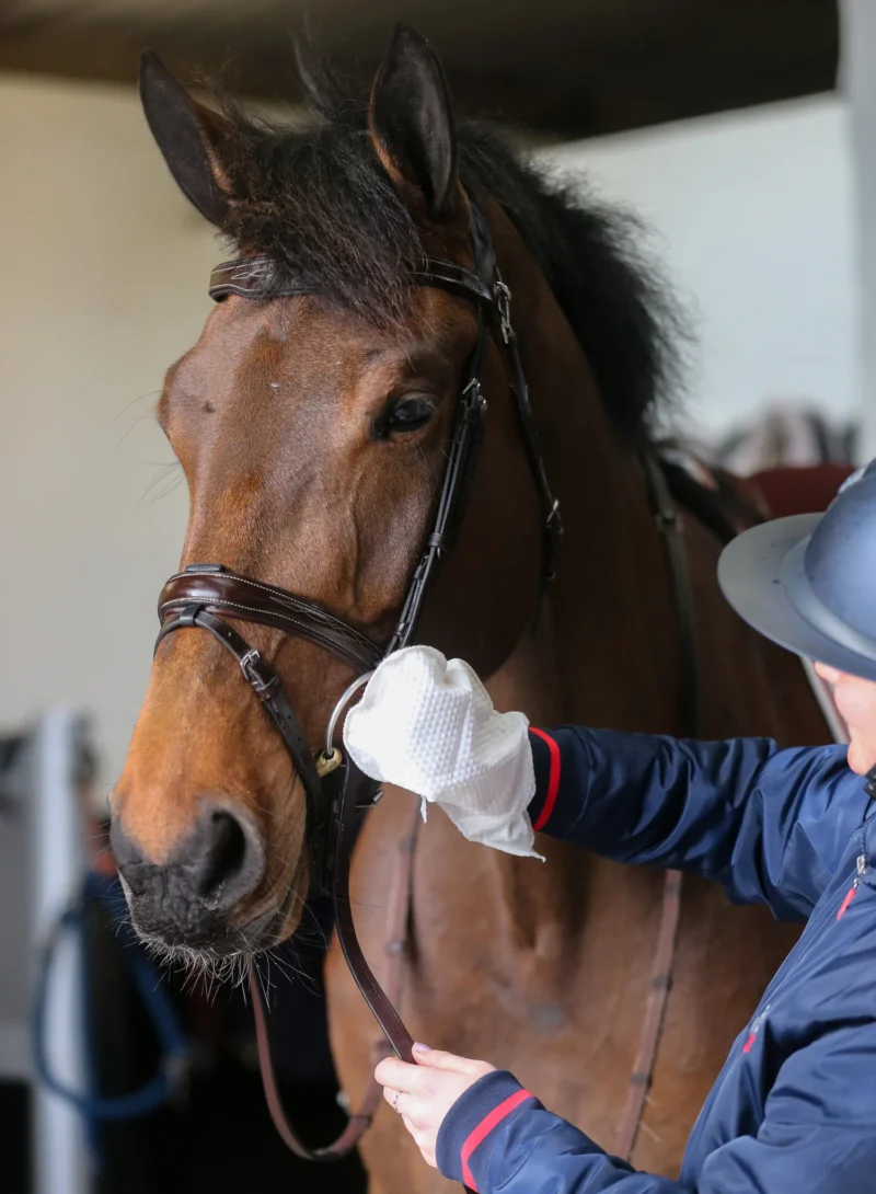 Carr & Day & Martin Belvoir Tack Cleaning Mitt - 1 pakke m. 10 stk - Billede 2