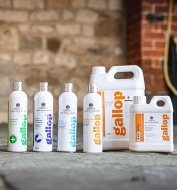 CDM Website Images 21 ee5bf7de 3a67 408d b18e 57ff1260beb5 375x