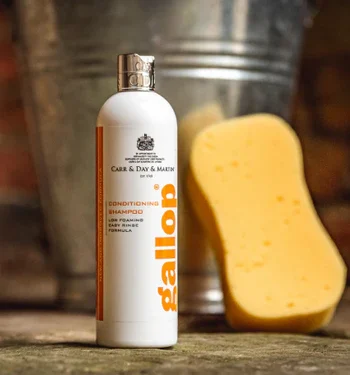 CDM Website Images 22 375x