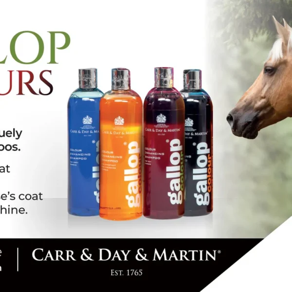 PosterGallopColours 1500x