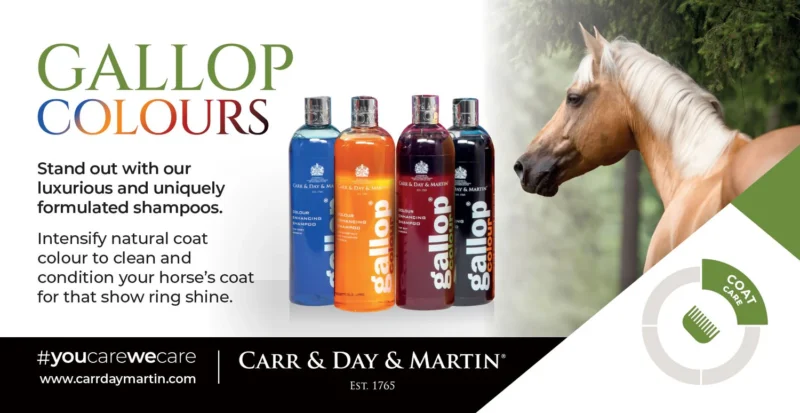 Carr & Day & Martin GRÅ Gallop Colour - 500ml - Billede 3