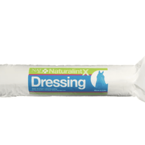 NAF Naturalintx Dressing 500 g