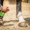Stain Master for horses application 375x