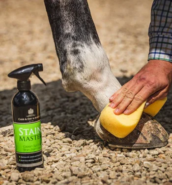 Stain Master for horses wipe 375x