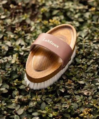 it03797 lifestyle artisansoftgoatshairbrush brown 1 375x