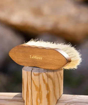 it03800 lifestyle deepcleaningdandybrush brown 2 copy 1 375x