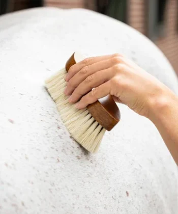 it03800 lifestyle deepcleaningdandybrush brown 3 375x