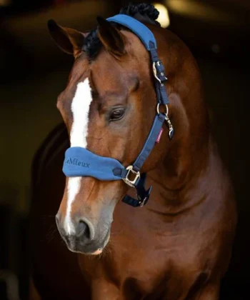 tracyrobertson aw23 225 copy 375x