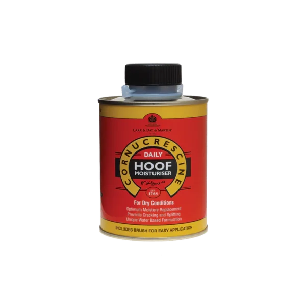 DCM hoof