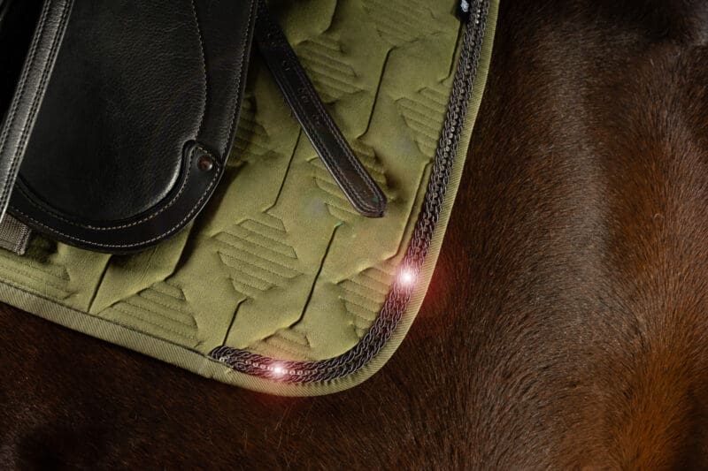 Mattes Engelsk dressur underlag Crystal Velvet Olive str L med lam under og i front - Image 2