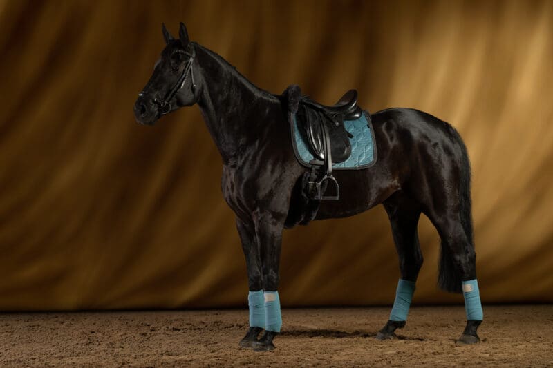 Mattes Engelsk dressur underlag Crystal Velvet Ocean str L med lam under, og i front - Billede 2
