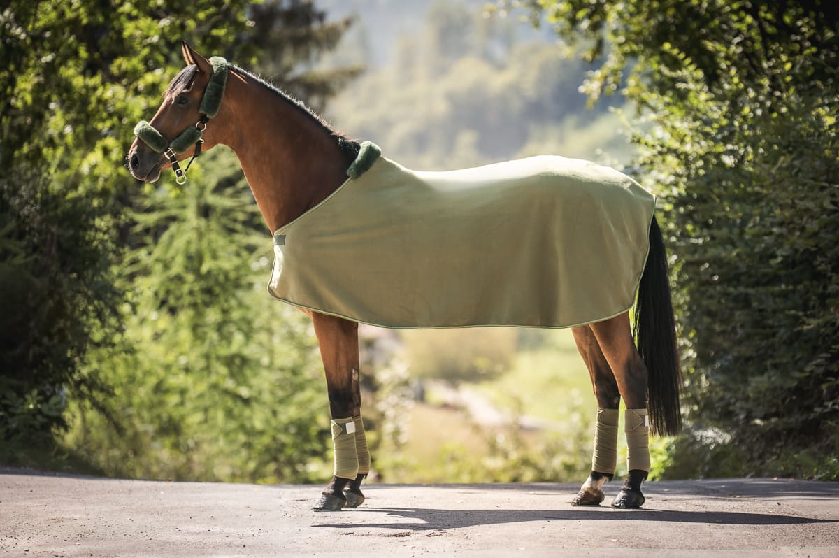 Hest iført grønt tæppe