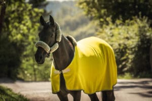 Mattes kollektion 2025