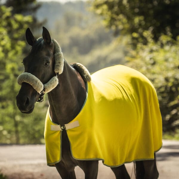 Mattes kollektion 2025