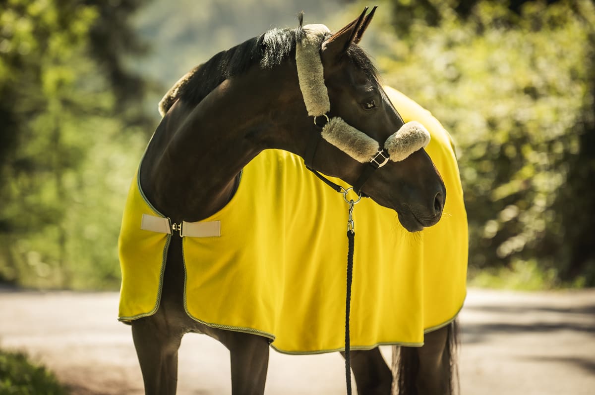 Mattes Fleece tæppe Curry/Schlamm Efterår/vinter 2025 med lamme kant i front 145/150 cm - Billede 8