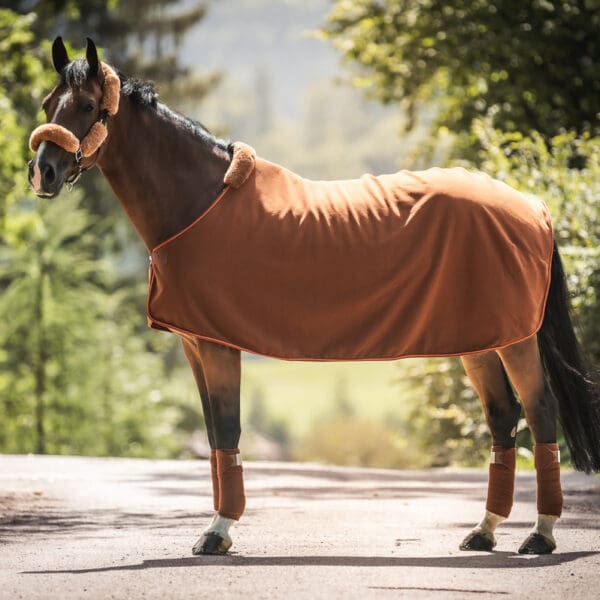 Hest iført brun dækken fra mattes