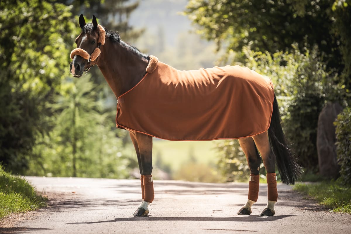 Mattes Engelsk spring underlag Efterår/ Vinter 2025 Velvet Nougat str L med lam under, og i front - Billede 6