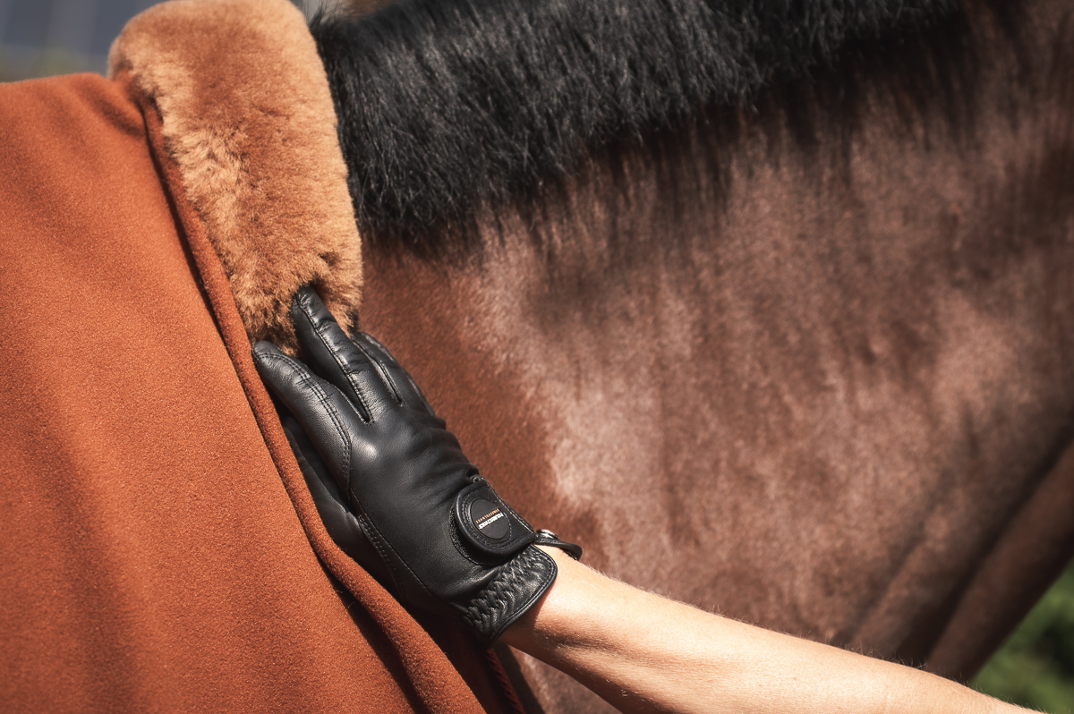 Mattes Engelsk spring underlag Efterår/ Vinter 2025 Velvet Nougat str L med lam under, og i front - Billede 5