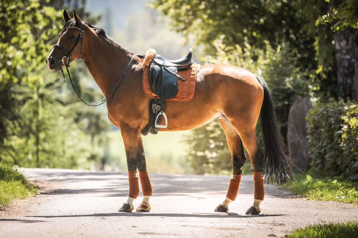 Dansk Rideudstyr Mattes